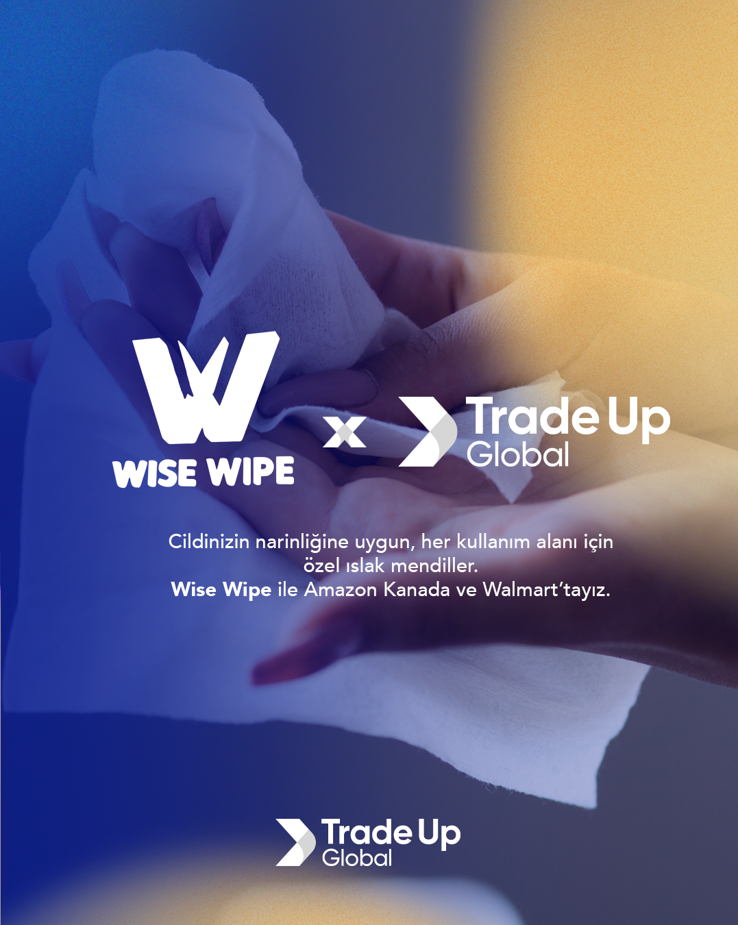 Wisewipe